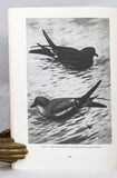 Birds of the Soviet Union, in six volumes, complete