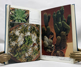 A Color Photo Album of Cacti and Succulents, in 3 volumes, complete