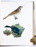 Zoology of New York or the New York Fauna, Part II. Birds (hand-colored plates)