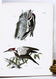 Zoology of New York or the New York Fauna, Part II. Birds (hand-colored plates)