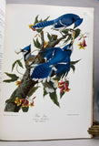 Fine Bird Books 1700-1900 (first edition, limited to 2000 copies)