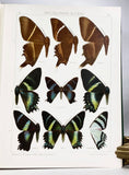 The Macrolepidoptera of the World (a complete, fully bound set: 16 volumes and 4 supplements bound in 30 total volumes)