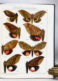 The Macrolepidoptera of the World (a complete, fully bound set: 16 volumes and 4 supplements bound in 30 total volumes)