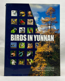 Birds in Yunnan