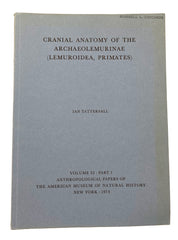 Cranial anatomy of the Archaeolemurinae (Lemuroidea, Primates)