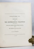 Chapter III: Report upon the Ornithological Collections made in portions of Nevada, Utah, California, Colorado, New Mexico, and Arizona during the years 1871, 1872, 1873, and 1874