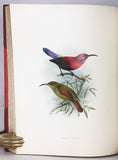 A Monograph of the Nectariniidae, or Family of Sunbirds