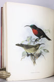 A Monograph of the Nectariniidae, or Family of Sunbirds