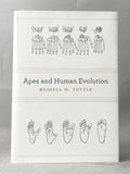 Apes and Human Evolution