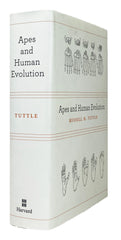 Apes and Human Evolution