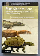 From Clone to Bone: The Synergy of Morphological and Molecular Tools in Palaeobiology