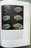 From Clone to Bone: The Synergy of Morphological and Molecular Tools in Palaeobiology