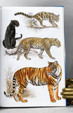 A Field Guide to the Mammals of Thailand and South-east Asia