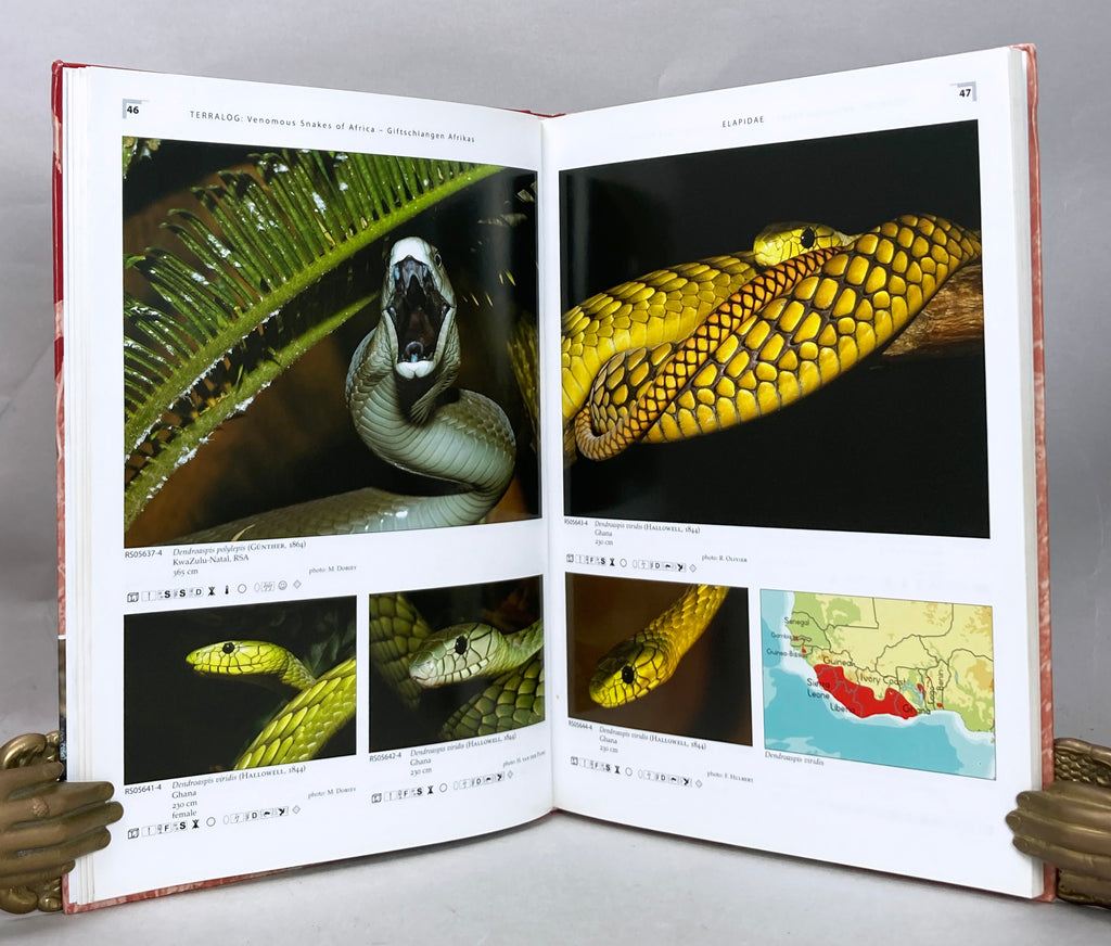 Venomous Snakes Of Africa   Giftschlangen Afrikas – Natural History Books