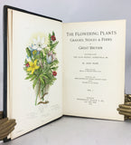 The Flowering Plants, Grasses, Sedges & Ferns of Great Britain and their allies the Club Mosses, Horsetails, in four volumes, complete