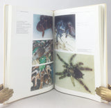 Guide des Mygales Elevees en Terrarium: Anatomie, alimentation, manipulation, reproduction